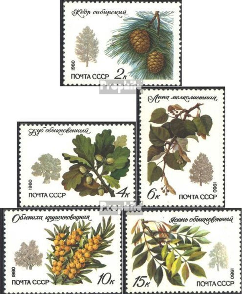 Briefmarken Sowjetunion 1980 Mi 5002-5006 (kompl.Ausg.) gestempelt Bäume und Sträucher