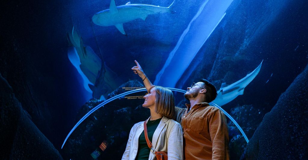 mydays Sea Life Oberhausen; Erlebnis verschenken oder selbst erleben; Gutschein für 1 Person(en)