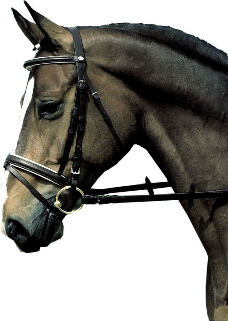 Hubertus Zaum Elegance, engl. komb., bestes Leder in Braun & C/S