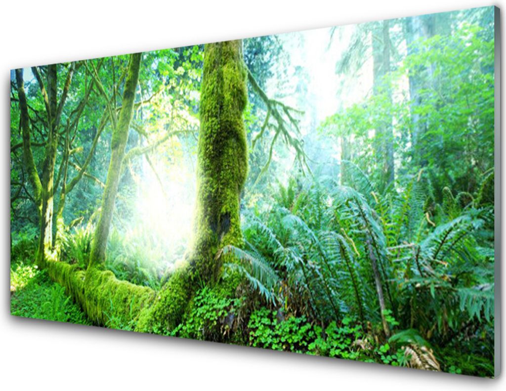 Küchenrückwand aus Glas 100x50cm Spritzschutz Wald Natur