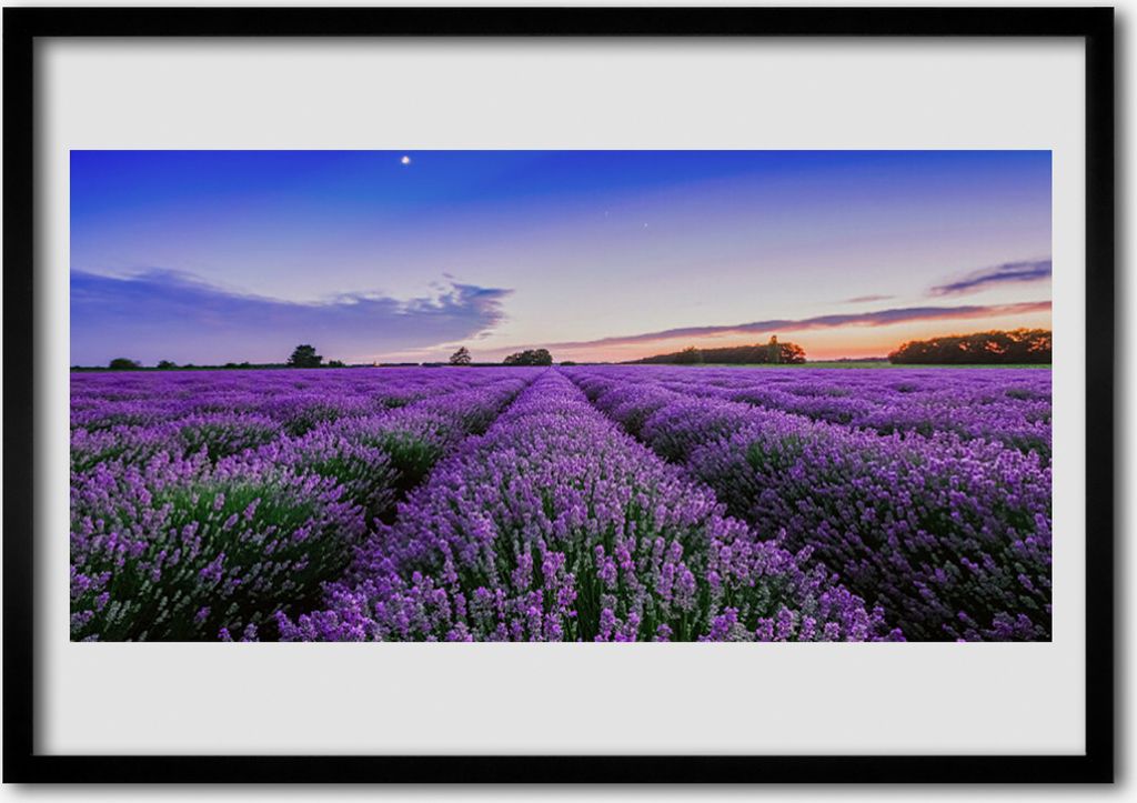 Bild 70x50 MDF-Rahmen Wandkunst Wiese Blumen Natur Pflanze