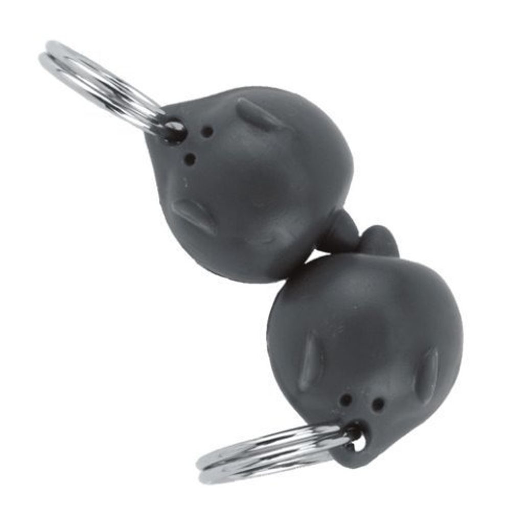 Magnete / Chiave Petsafe 2 pezzi Immagine del prodotto 