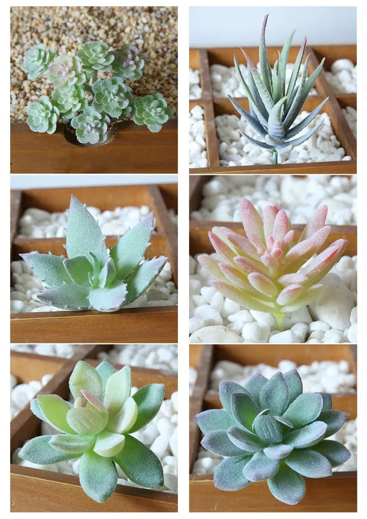 Plante artificielle extérieure et intérieure : 6 mini succulentes