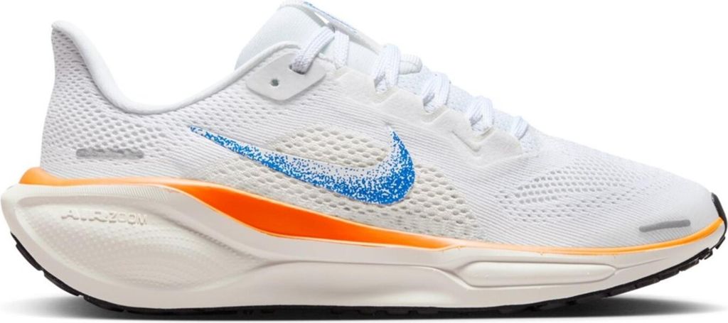 Schuhe Nike Pegasus 41 HM4820100