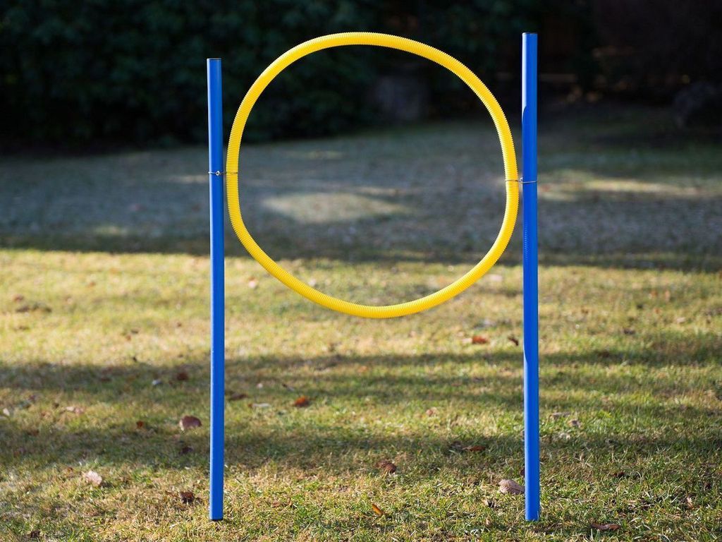 Hundetrainingsset, Slalom-Stangen, Hürde und Ring, Agility Produktbild 2