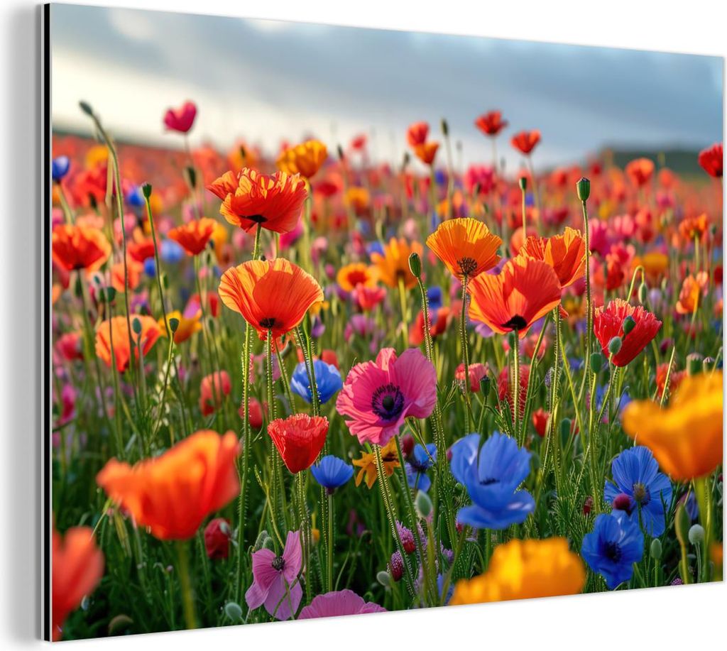 MuchoWow Wanddekoration Metall Metallbild Wandkunst 30x20 cm Blumen - Mohnblumen - Farbenfroh - Natur MuchoWow Aluminium Gemälde - Aluminiumgemälder