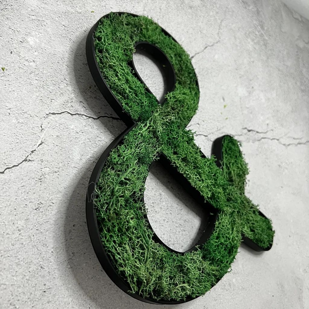Mousse d'Islande Vert Herbe UND - Lichen Stabilisé Haute Densité Durable - 2