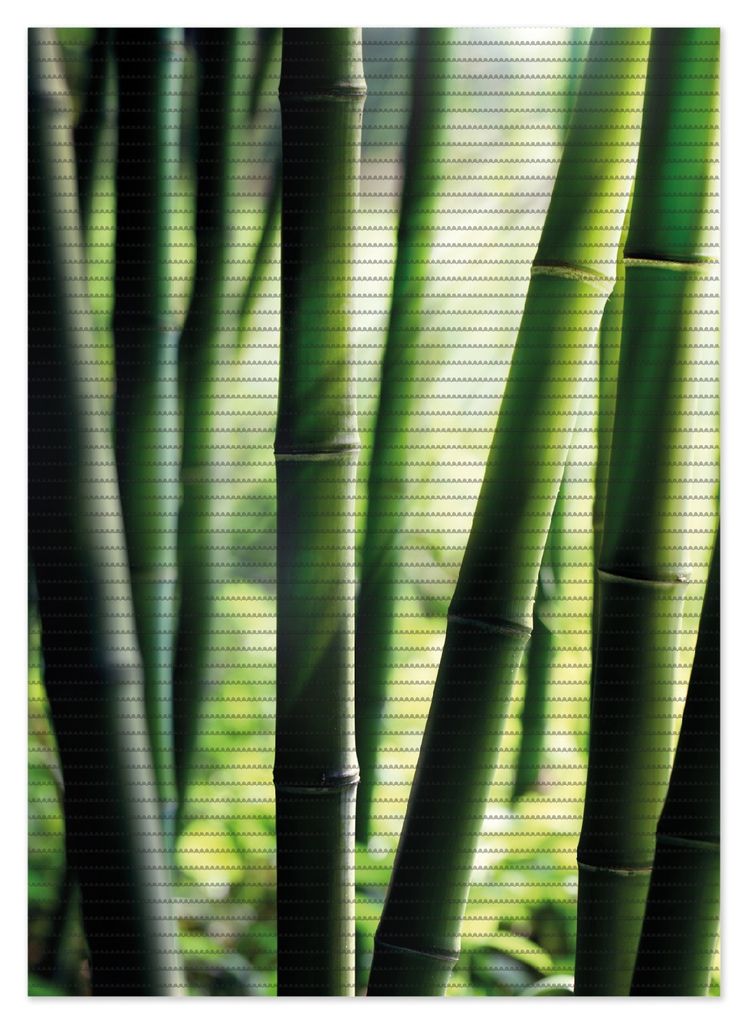 Wallario Duschmatte Antirutschmatte Badmatte Fußmatte Bambuswald und Sonnenstrahlen, Größe ca. 70 x 50 cm