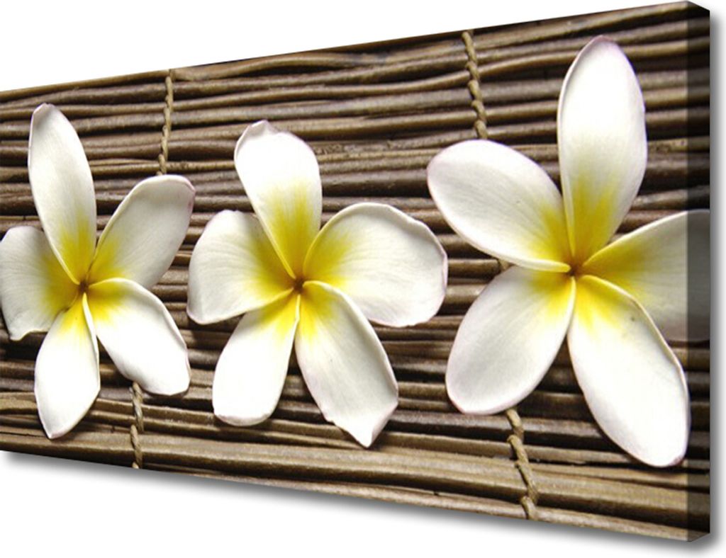 Tulup Leinwand-Bilder 100x50 Wandbild Canvas Kunstdruck Blumen Pflanzen