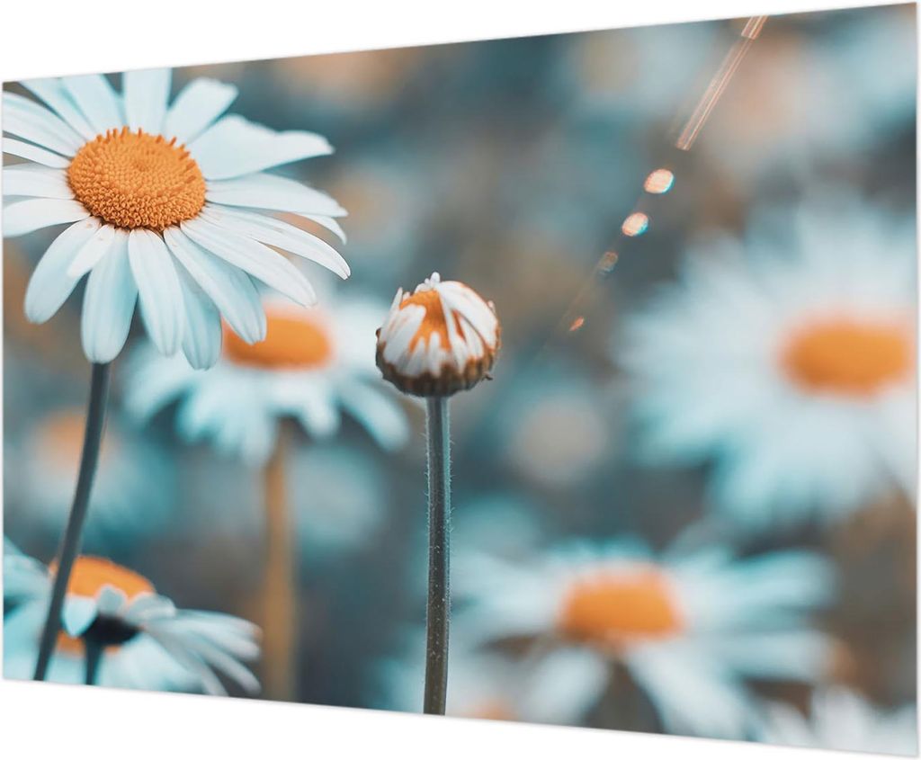 Wandtapete - Dekorative Tapete für Wohnzimmer - Tapetenfolie für Wanddekoration - 312x219 cm - Kamillendelikör