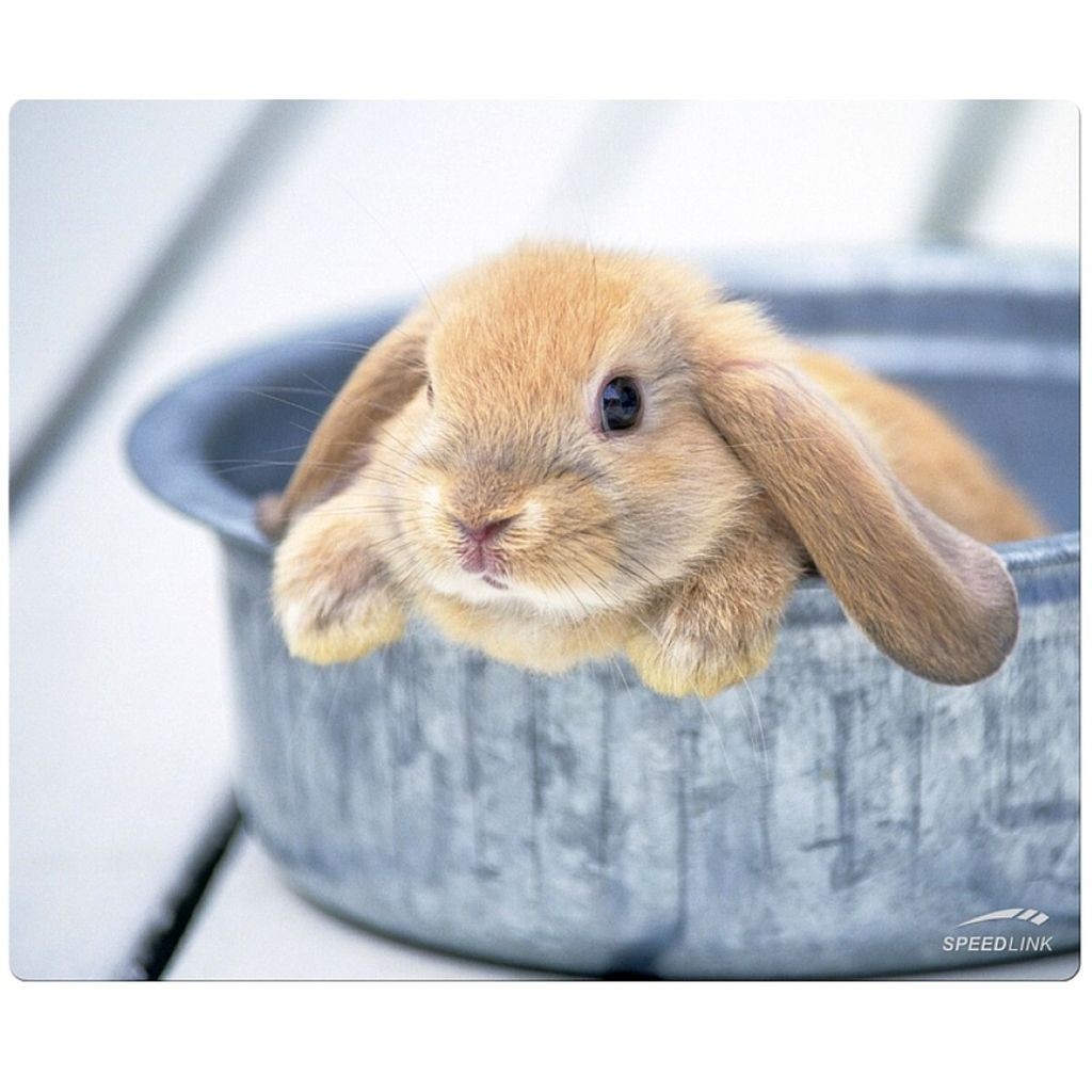 Mousepad in seta Coniglio Immagine del prodotto 