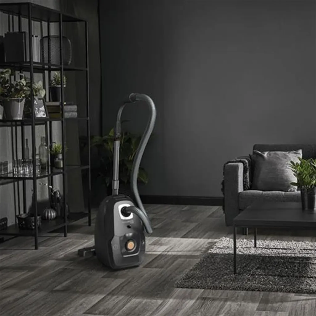 Aspirateur avec Sac Silencieux Rowenta Green Force Effitech YY5469FE Noir - 6