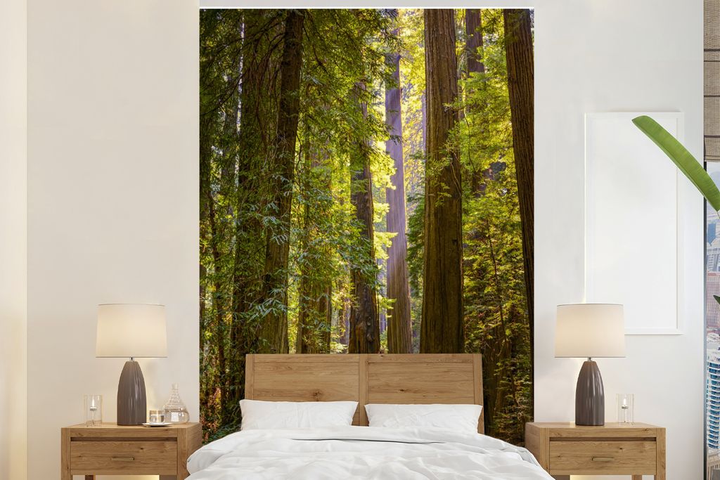 MuchoWow Fototapete für Wohnzimmer oder Schlafzimmer Wandtapete Vinyl Motivtapete Redwood in der Sonne - 180x280 cm - Wallpaper