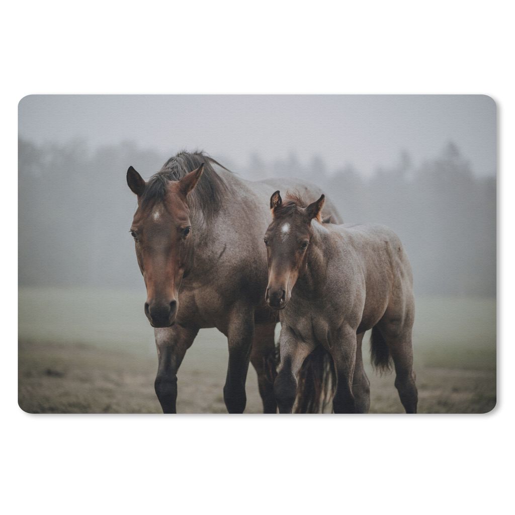 MuchoWow Mauspad Mousepad Pferde - Nebel - Gras 27x18 cm - Mousepads - Maus Mat - Pad - Mausunterlage - Büroartikel - Desk Matten