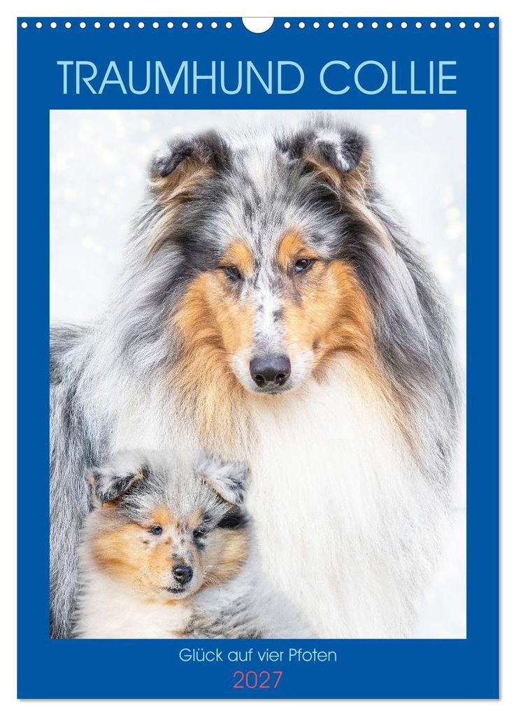 Traumhund Collie - Glück auf vier Pfoten (Wandkalender 2027 DIN A3 hoch), CALVENDO Monatskalender