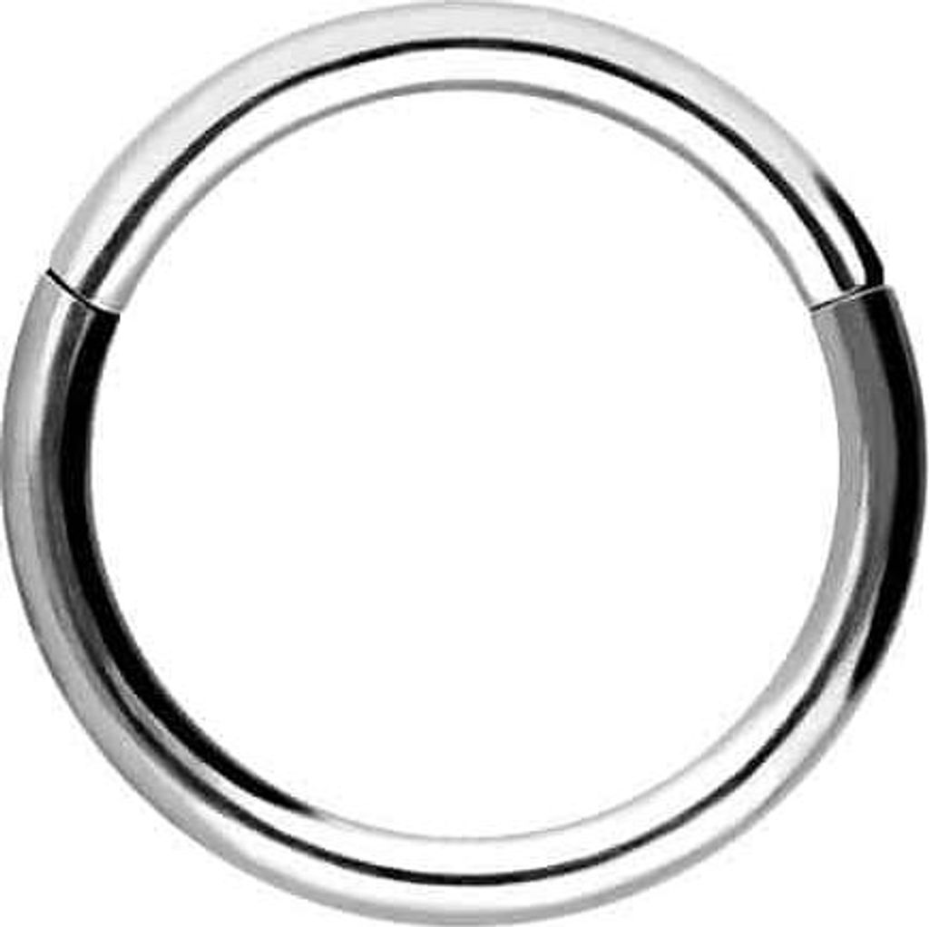 Ohrpiercing, Nasenpiercing, Septum Piercing Titan Segmentring Clicker Silber Innendurchmesser: 6mm + Stabstärke: 1mm