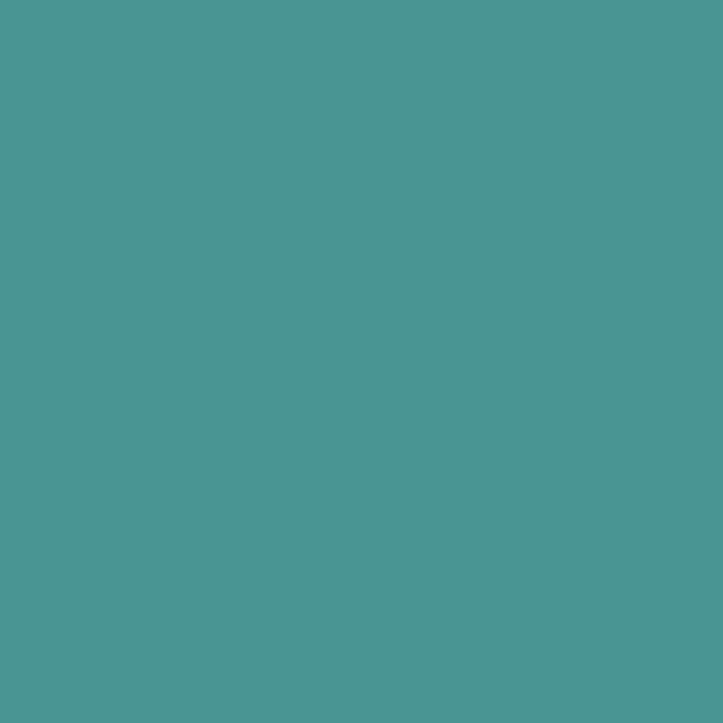 PUKY Laufrad LR XL BR Turquoise Produktbild 4