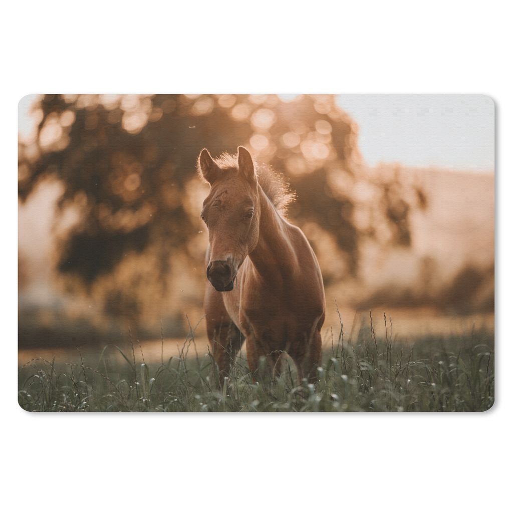 MuchoWow Mauspad Mousepad Pferd - Licht - Landschaft 27x18 cm - Mousepads - Maus Mat - Pad - Mausunterlage - Büroartikel - Desk Matten