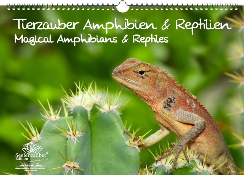 Tierzauber Amphibien und Reptilien Immerwährender Kalender DIN A3 - Seelenzauber