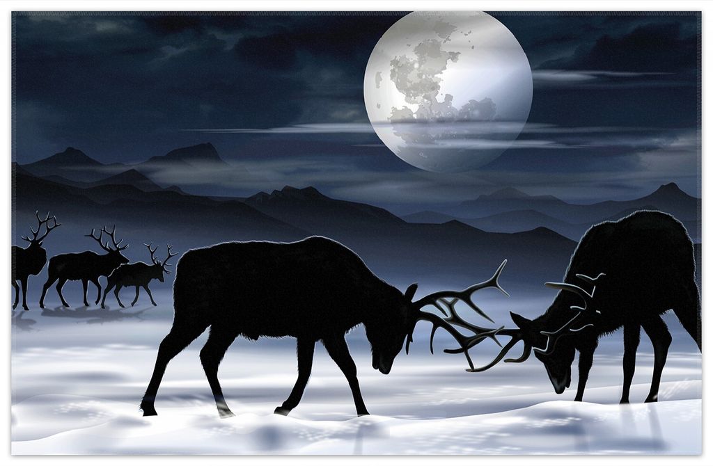 Wallario Premium Teppich, Größe 90 x 140 cm, Elch im Schnee bei Mondschein - Silhouette am Abend