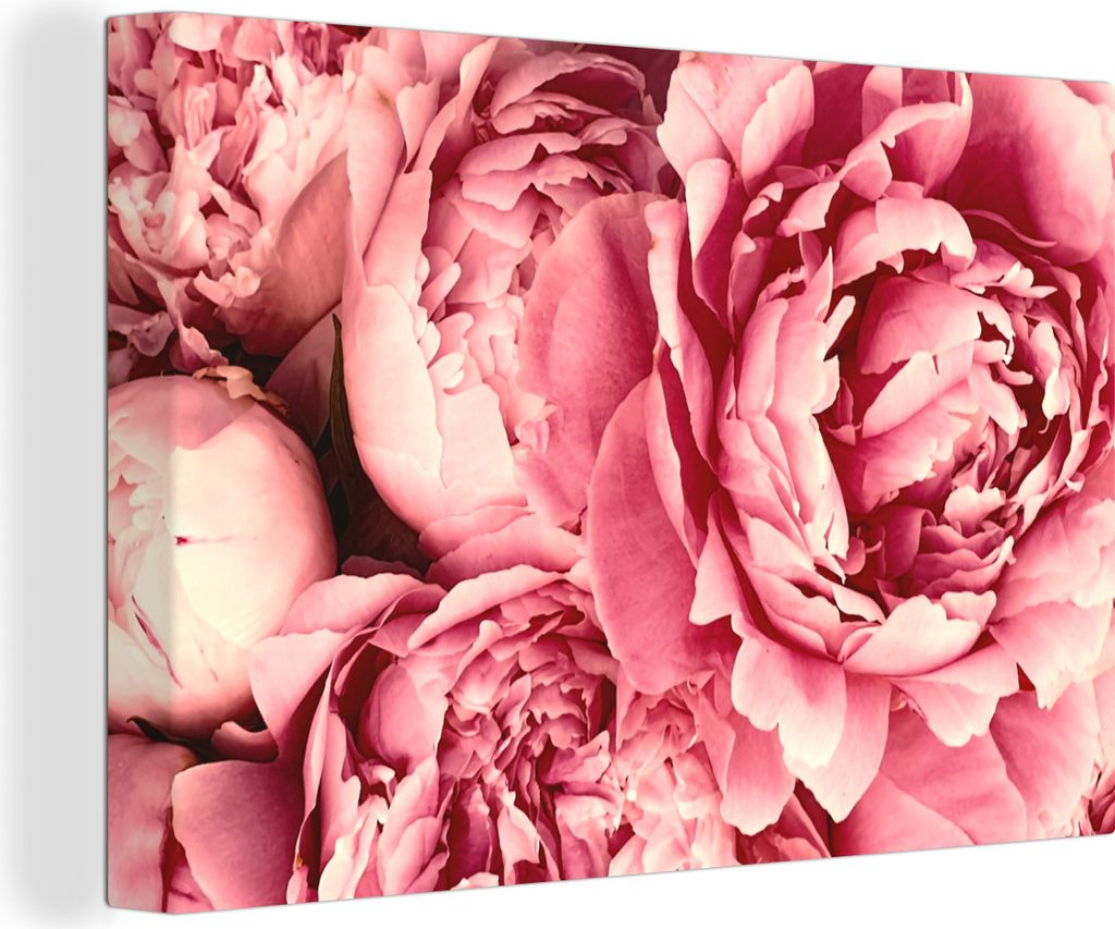 OneMillionCanvasses - Leinwandbilder - 150x100 cm, Rosen - Blume - Rosa, Wandbilder Kunstdruck Wanddekoration