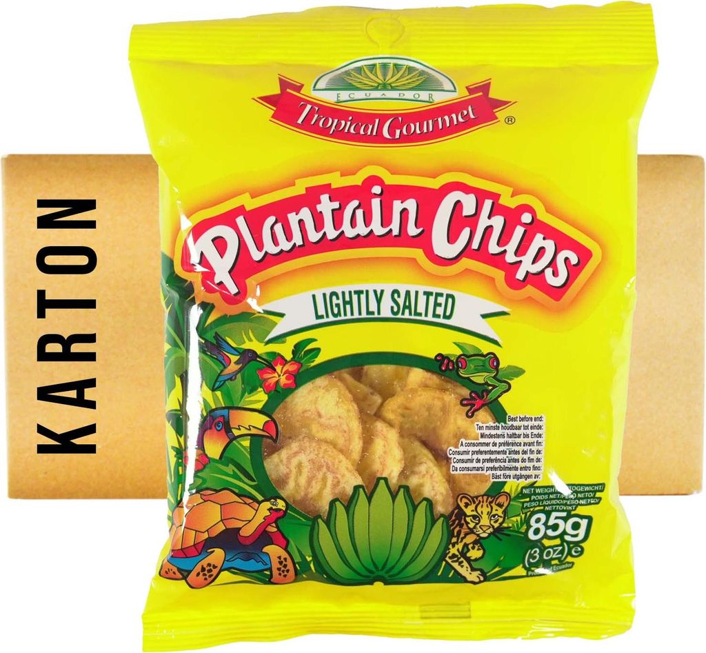 TG Plantain Bananen Chips leicht gesalzen 20x85g