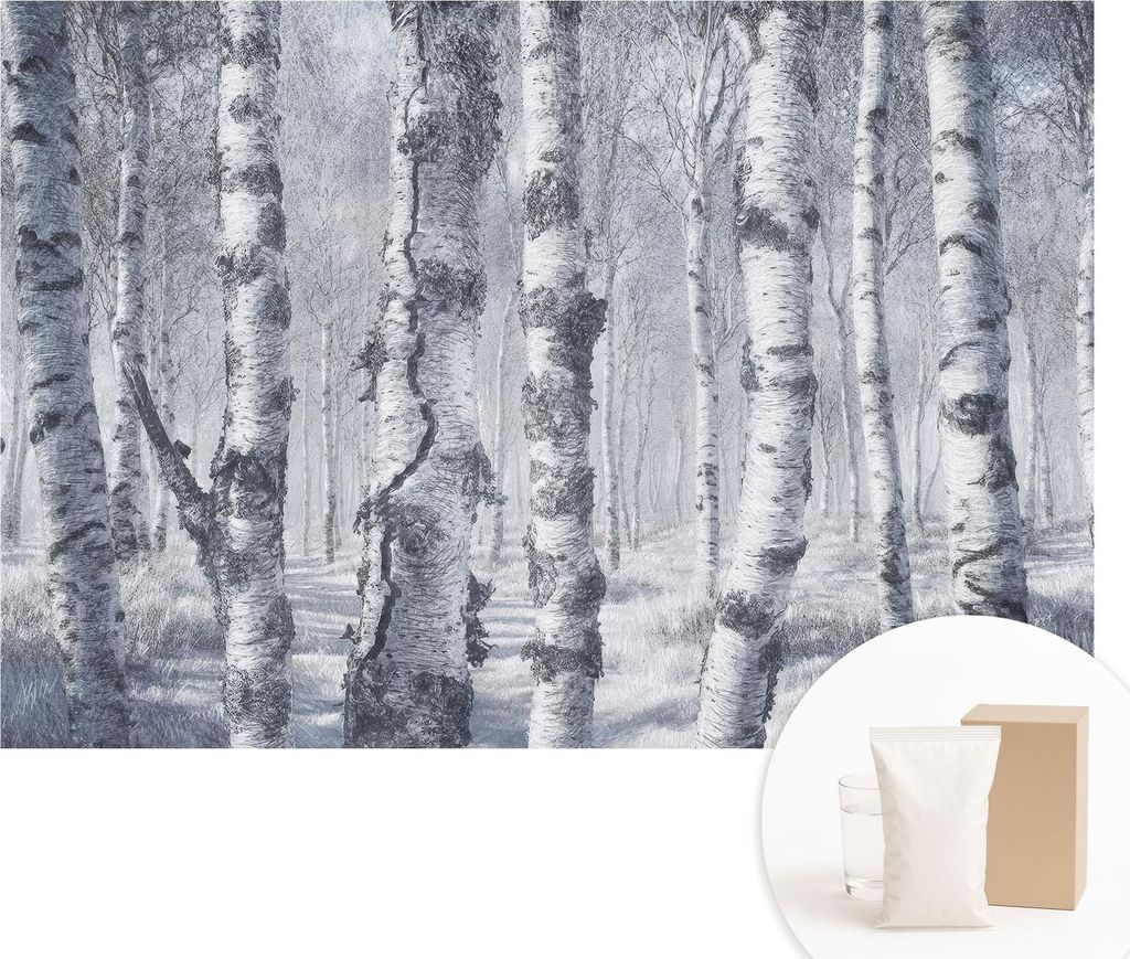 Fototapete - Wandbilder für Wohnzimmer - 152x104 cm - Dekorative Wandfolie - Modernes Design für Wanddekoration - Tapeten für Innenräume - Fros...