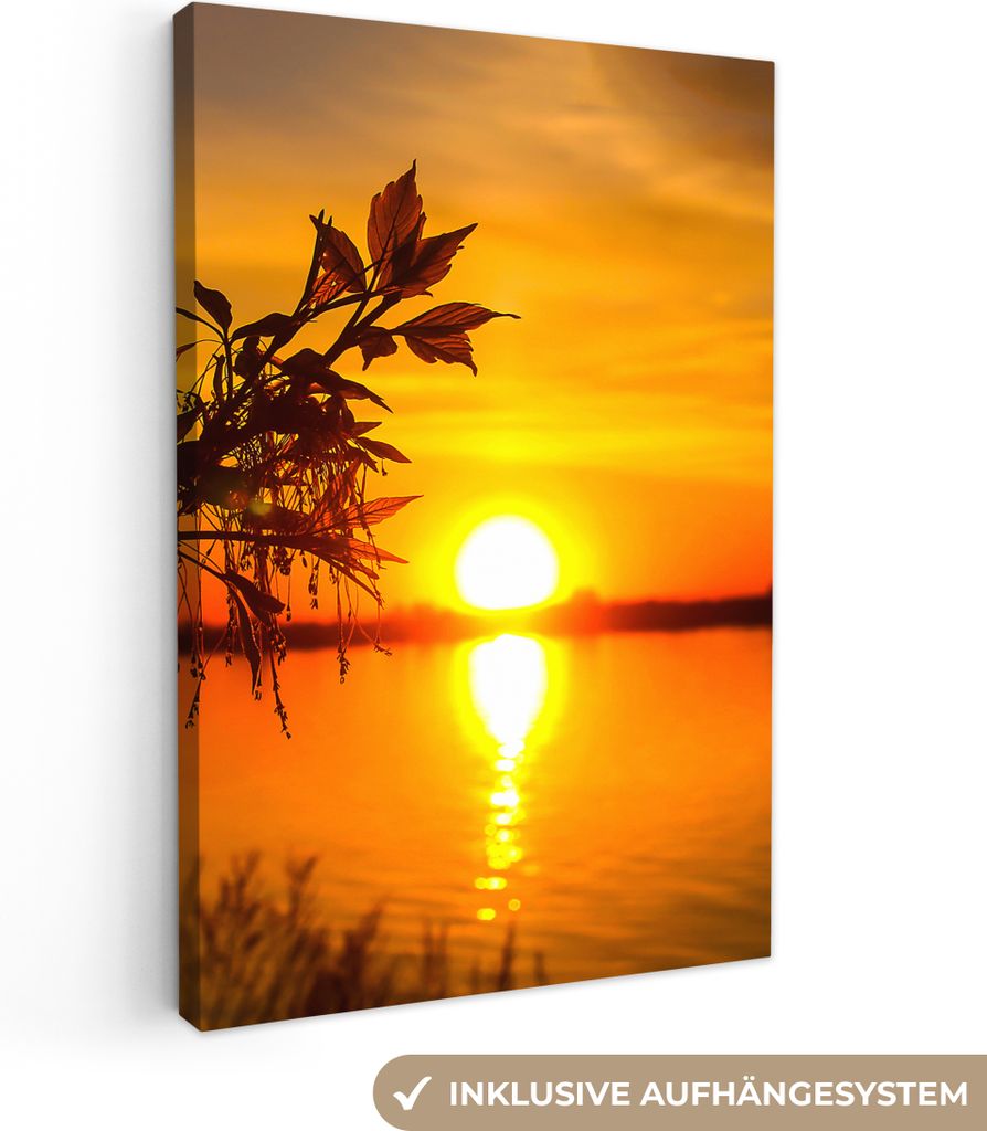 MuchoWow - Leinwandbilder - Sonnenuntergang - Wasser - Pflanzen - Orange, Wandbild, Wanddeko Bilder Wohnzimmer, 60x90 cm