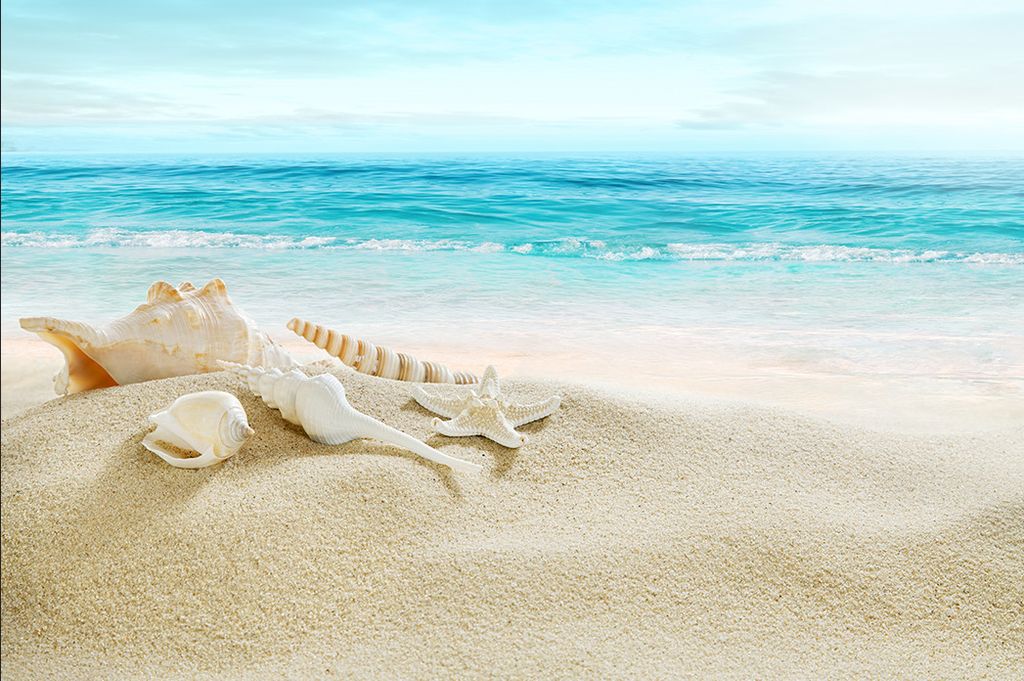 Muralo Fototapete Strand 416 (B) x 254 (H) cm Vlies Tapete Wandtapete Sand Muscheln Meer Wellen Himmel Wohnzimmer Schlafzimmer moderne Wandbilder X...