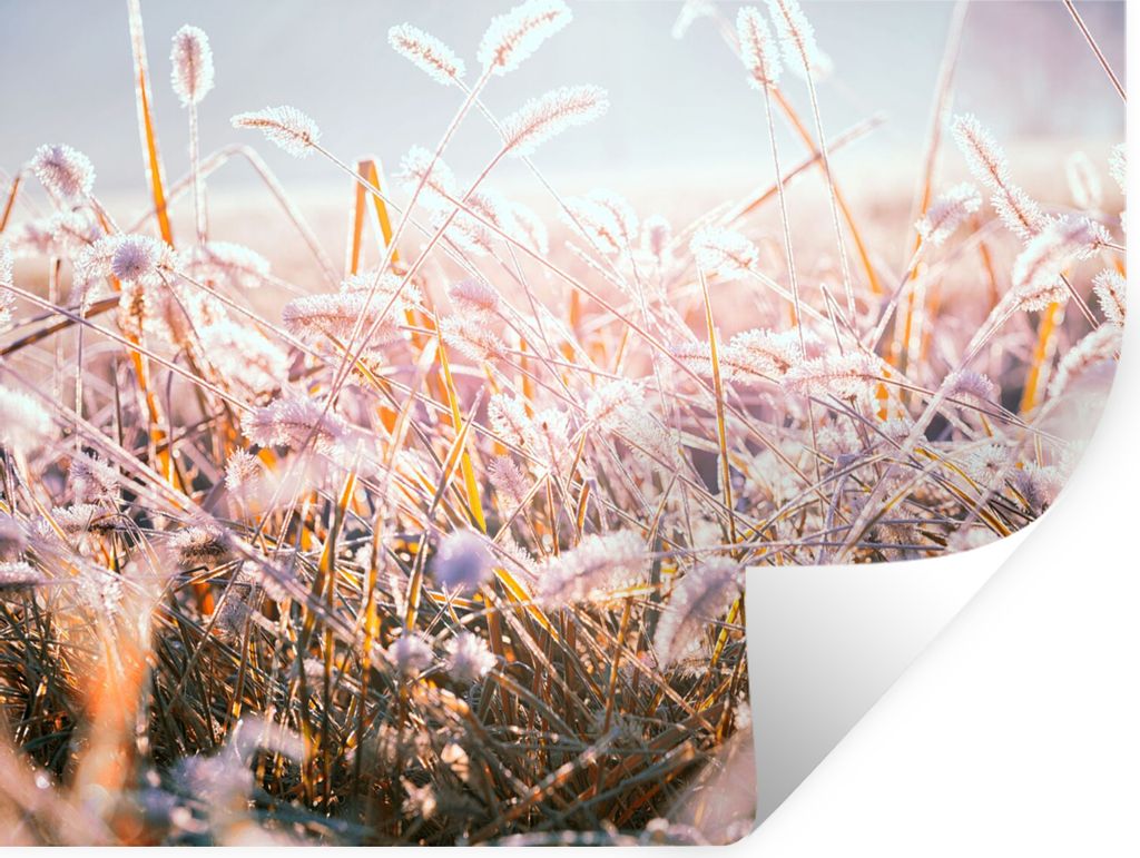 MuchoWow Wandtattoo Wandsticker Wandaufkleber Gras - Sonne - Winter - Schnee 160x120 cm Selbstklebend und Repositionierbar - Selbstklebend - Foto...