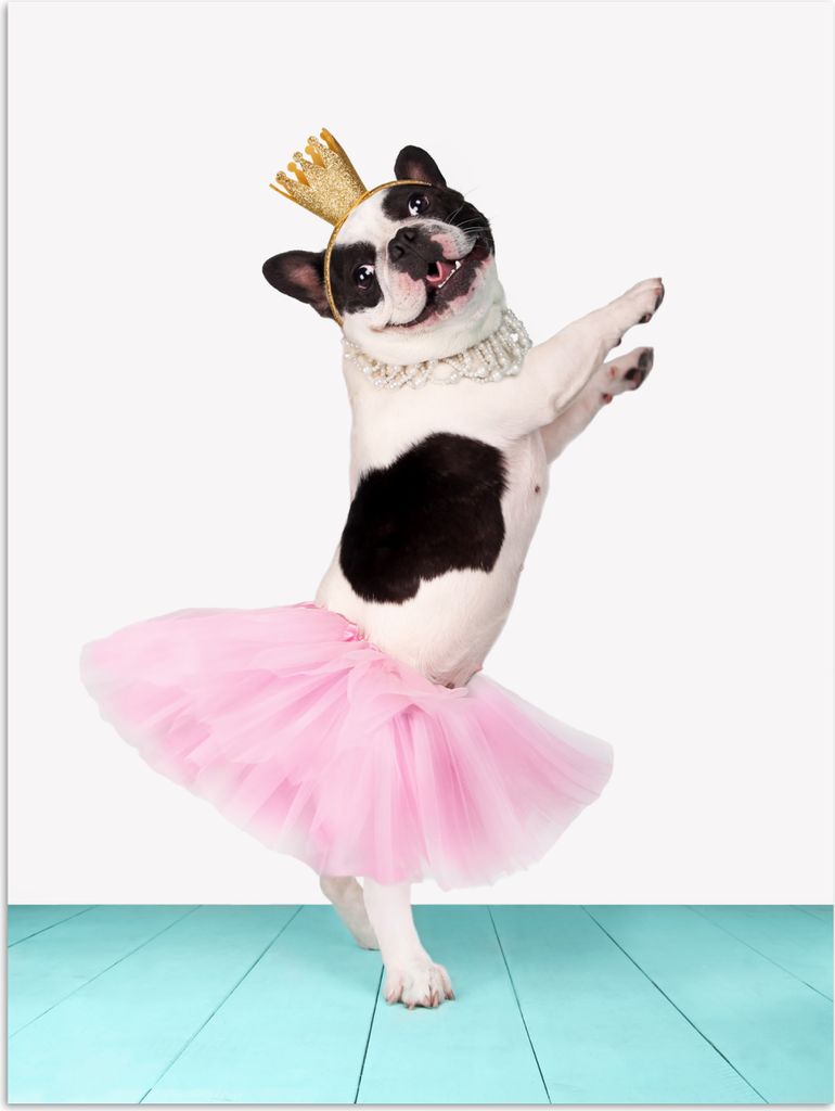 MuchoWow Poster Tanzende Bulldogge in einem Tutu 30x40 cm - Wandplakat - Poster Kinderzimmer