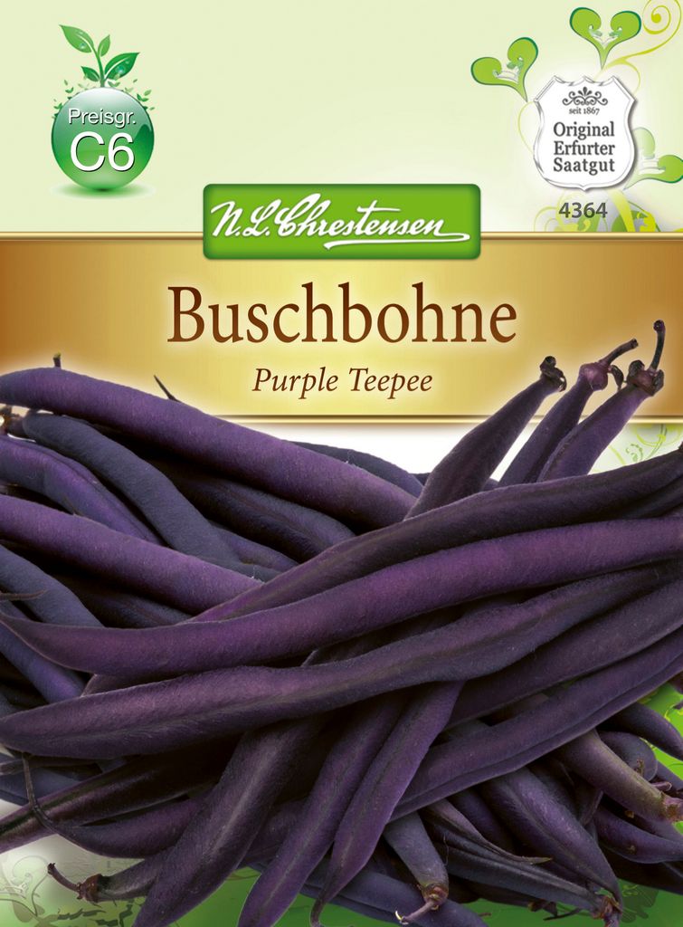Saatgut Buschbohne Purple Teepee Gluckentyp Chrestensen AR8723