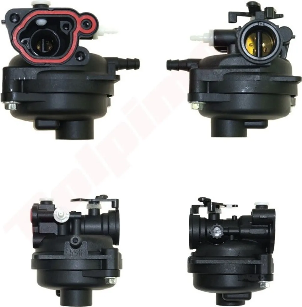 Carburateur pour Briggs & Stratton 590556 - Pièce Moteur Thermique