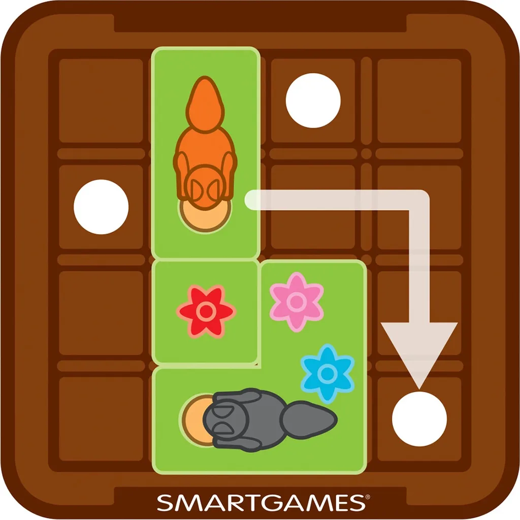 Smart Games Les écureuils attaquent avec 60 défis et casse-têtes