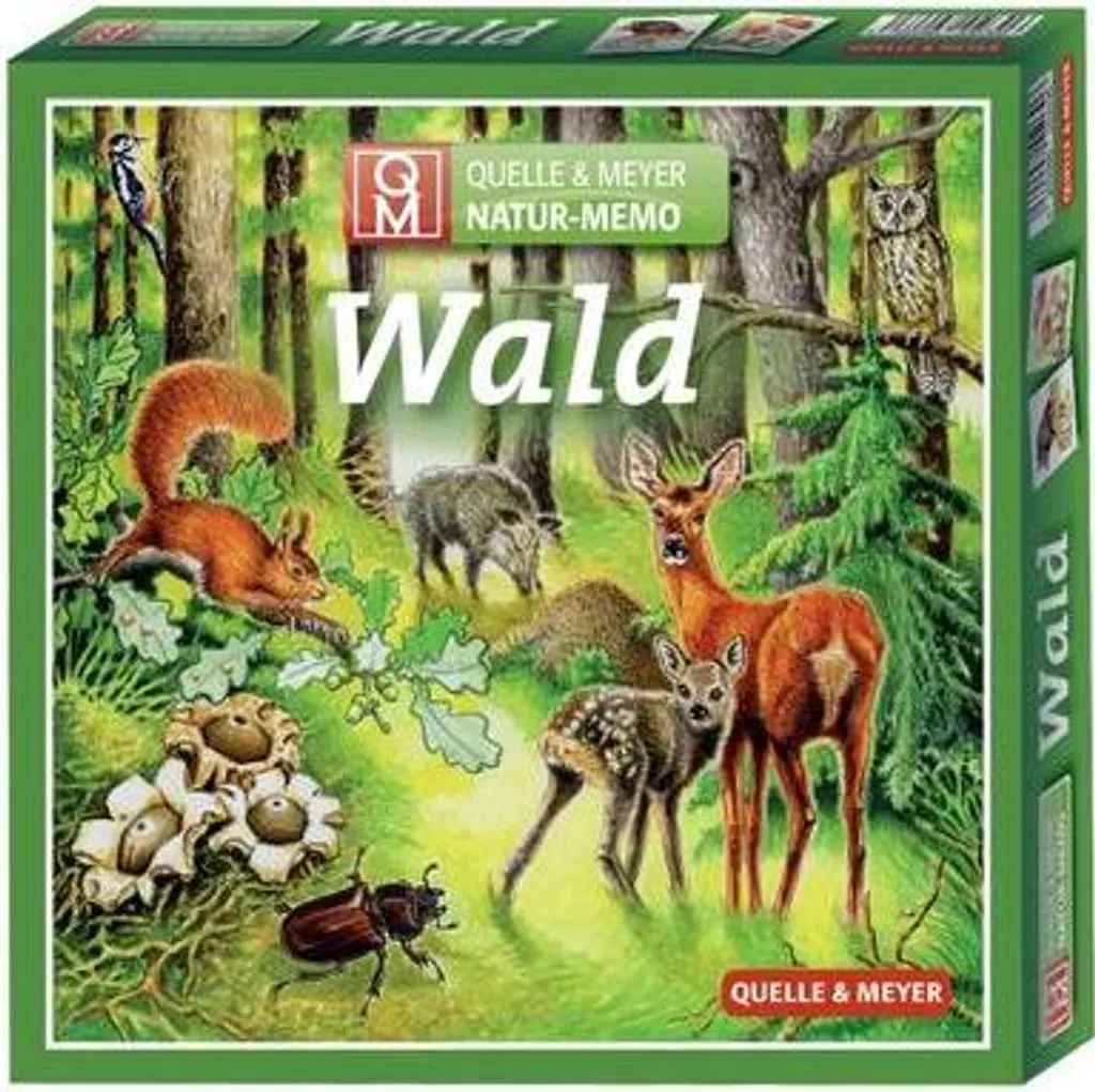 Jeu de Mémoire Forêt 64 Cartes : Apprendre la Nature en s'Amusant