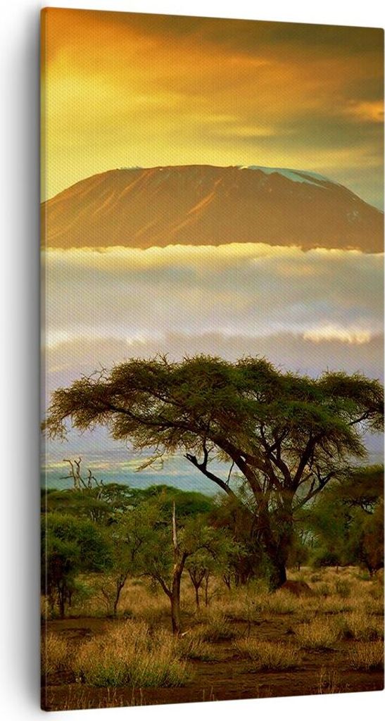 Bild auf Leinwand - Leinwandbild - Safari Tierwelt Berg Kenia - 55x100cm - Wand Bild - Wanddeko - Leinwanddruck - Bilder - Kunstdruck - Wanddekorat...