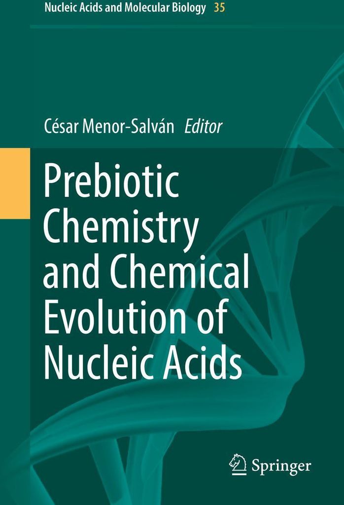 Prebiotic Chemistry and Chemical Evolution of Nucleic Acids