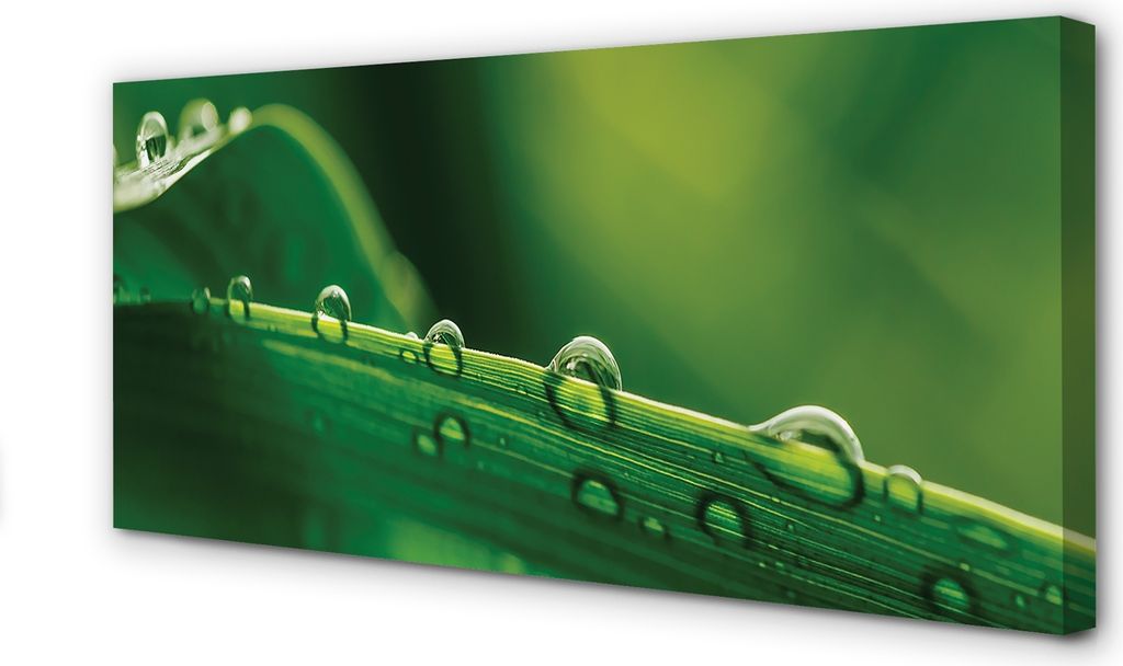 Leinwandbild 140x70 Wandkunst Drops Gras Makro
