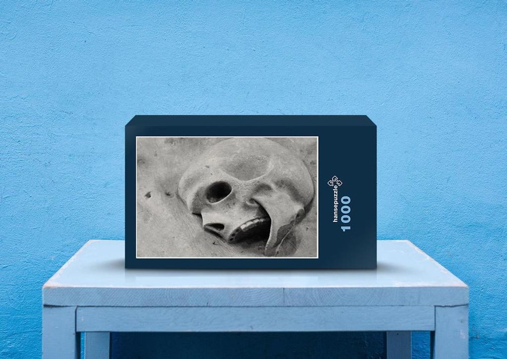 hansepuzzle 68799 - Fossil Puzzle, 1000 Teile, Hintergründe, 60,0 x 46,0cm mit hochwertiger Aufbewahrung, Kartonbox und wiederverschließbarem Beutel
