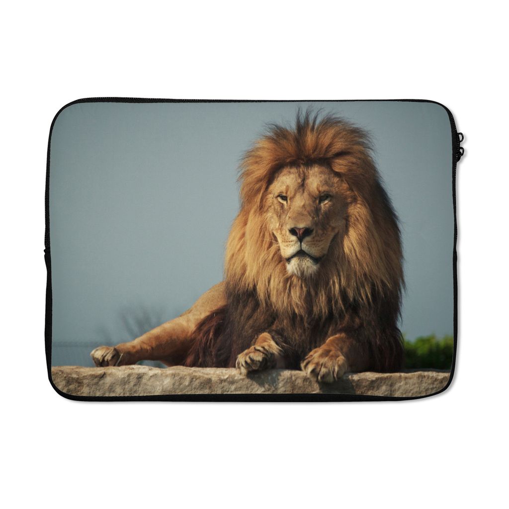 MuchoWow Laptop Hülle 14 ZollLöwe - Felsen - Jagd Laptoptasche - Laptoptasche - Stoßsicher - Schutzhaube