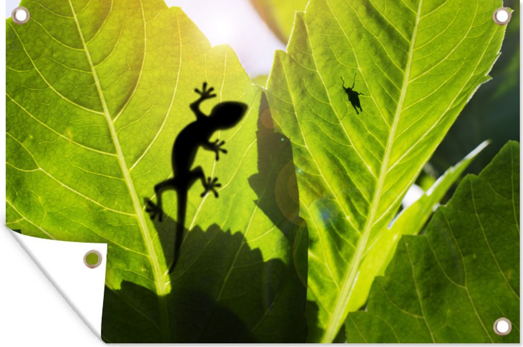 MuchoWow 120x80 cm Outdoor-Poster Gartendeko Sichtschutz Garten Poster für den Garten Gecko auf grünem Blatt