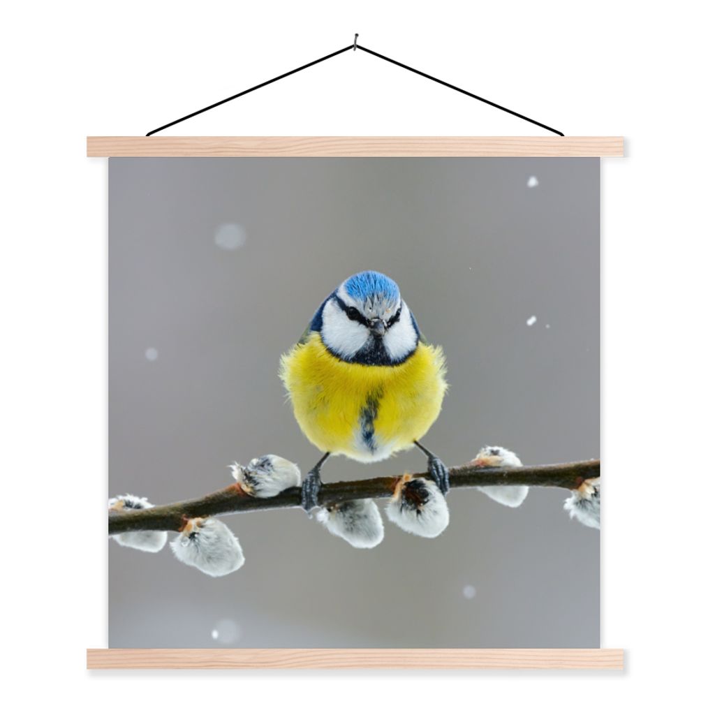 MuchoWow Textilposter Blaumeise - Vogel - Zweig - Gelb - Blau 120x120 cm mit holzfarbenen Rahmen - Textil-Poster