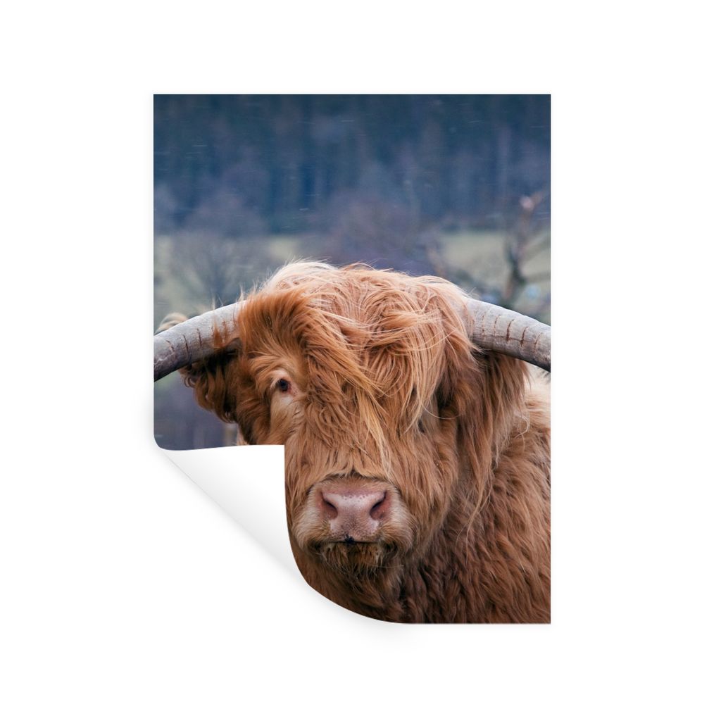 MuchoWow Wandtattoo Wandsticker Wandaufkleber Schottischer Highlander - Hörner - Berg 90x120 cm Selbstklebend und Repositionierbar - Faltenfrei