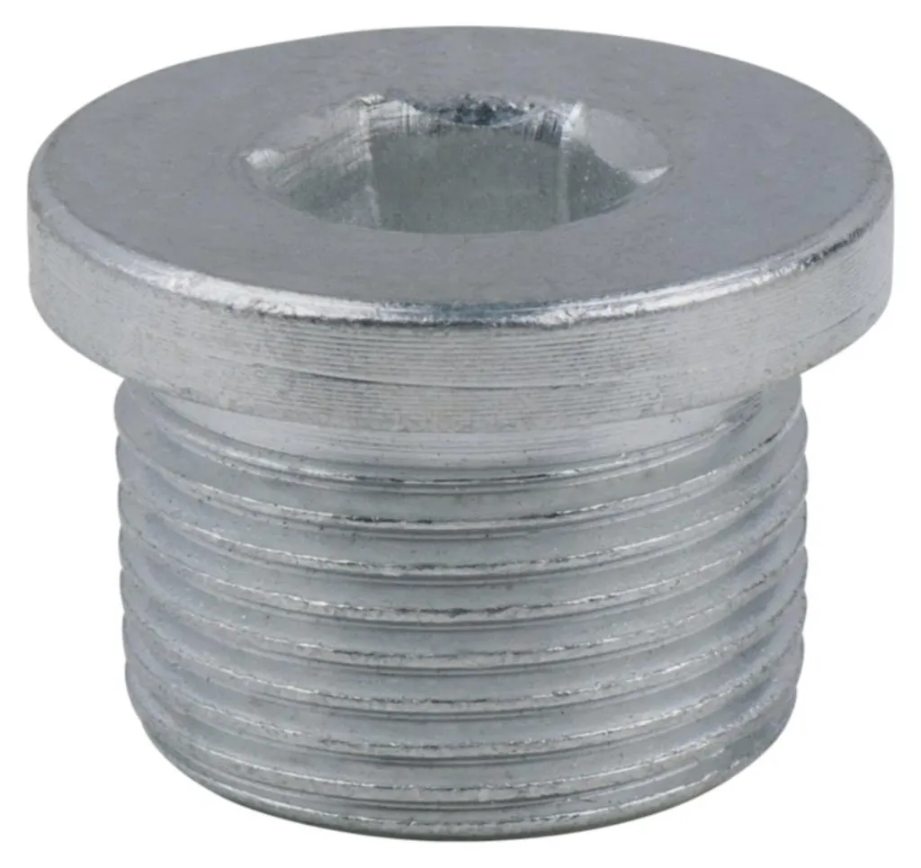 Bouchon de vidange d'huile M22x1,5x13,5mm hexagone interne 10mm - 25pcs