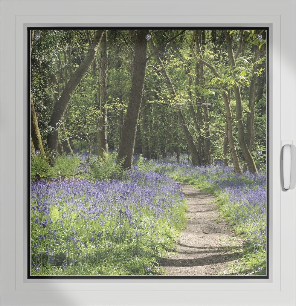 Wallario Lichtschutzbild, Dekorativer Sichtschutz Sonnenschutz 96 x 93 cm mit Motiv: Wiese voller blauer Hasenglöckchen im Wald - Verdunklung ohne...