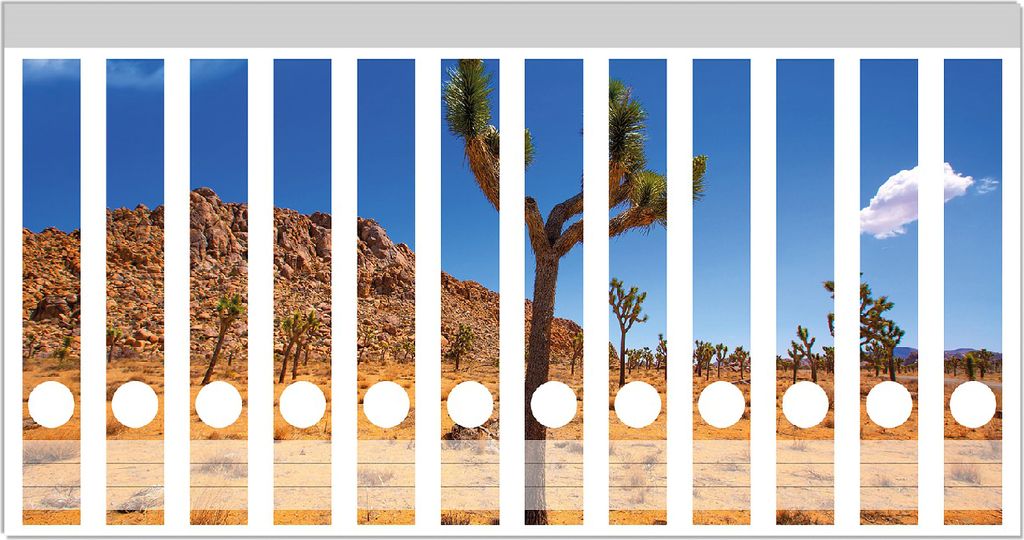 Wallario Ordnerrücken Sticker, selbstklebend für schmale Ordner, 12 Stück, Motiv Palmlilie im Nationalpark Yucca Valley Wüstenlandschaft