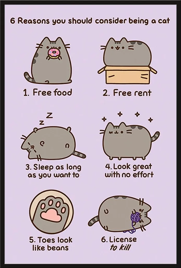 Affiche Pusheen avec Cadre Interchangeable Shinsuke et Vitre Acrylique