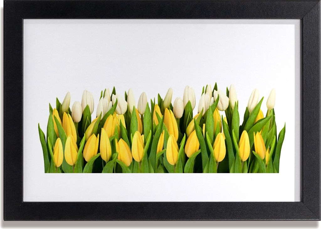 Bild 30x20 MDF-Rahmen Wandkunst Tulpen Blumen Pflanze
