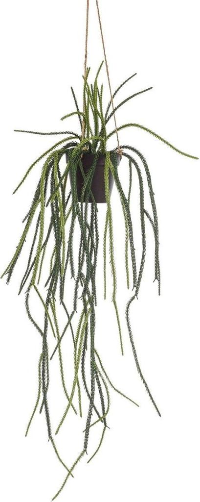 artplants.de Künstliche Rhipsalis pilocarpa Blumenampel JEXIA, Künstlichetopf, grün, 85cm - Künstliche Sukkulente