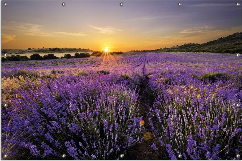 Wallario Outdoor-Poster für Garten oder Balkon, Motiv Sonnenuntergang über dem Lavendel, in ca. 120 x 180 cm